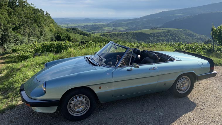 alfa-spider-05