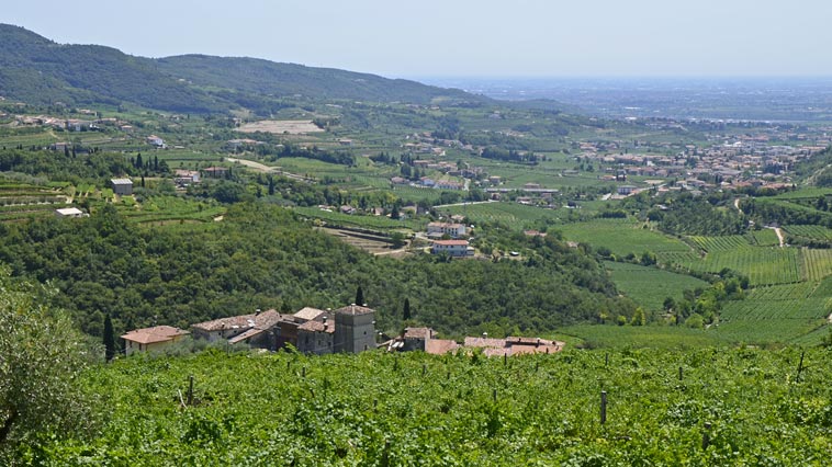 Valpolicella in auto d'epoca