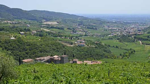 La Valpolicella in auto d'epoca